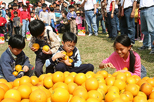 2011香丁節  16日起網路免費索取採果券