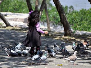 H7N9中國增1死 目前11例4死