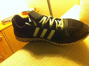 坦承丟鞋　陳為廷：劉政鴻不尊重喪家