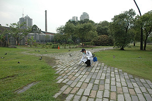 嚴防H7N9  北市監測野禽迄今未檢出