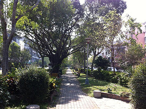 初六北部轉濕冷  中南部天氣晴