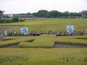 反對中科搶水 農民稻田刻「水」字