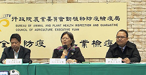 全台鵝隻恐全滅  雞隻面臨禽流感風險