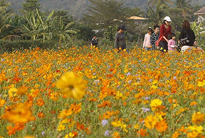 盧燕俐觀點》被子女棄養，誰的錯？
