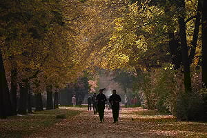 研究：有氧運動有助延緩大腦老化