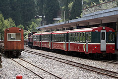 阿里山小火車翻覆  已有6人罹難