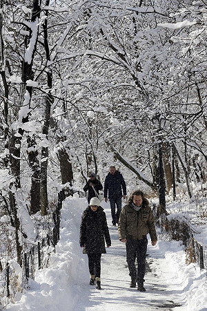 美研究：女性中風風險高於男性