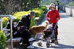 各地創入冬新低溫 板橋清晨5.6度