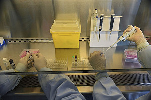 美專家：H7N9可能大範圍擴散