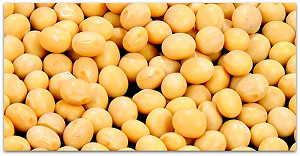 立院初審 基改食品禁入校園團膳