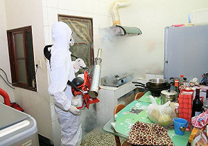 登革熱疫情漸受控制 環署將針對高雄孳清