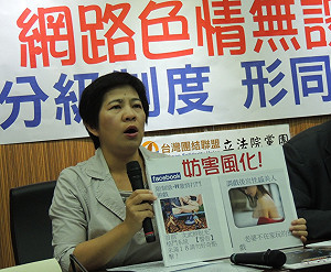 花預算查臉書色情  台聯批：沒罰半件