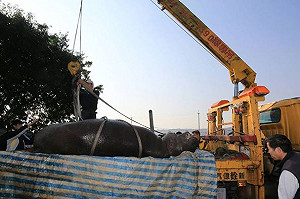 「阿河」悲劇  林佳龍將嚴懲業者