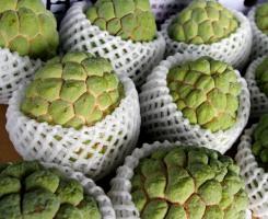 蘇拉狂掃 全台農損破3億5千萬