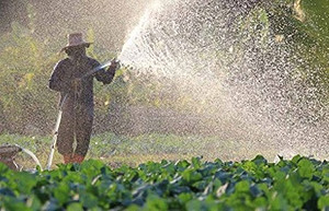 WHO：每年有42萬人死於食物中毒