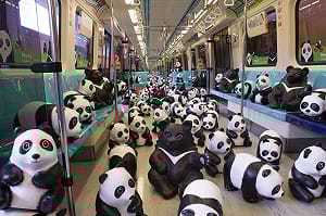 紙貓熊快閃捷運 加入台灣黑熊成「雙熊會」