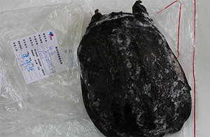 甲魚驗出致癌孔雀綠 點水樓也中鏢