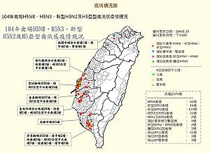 分析病毒  防檢局：候鳥帶入可能性最高