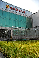 金墩毒米疑流入市面  專案小組緊急追追追