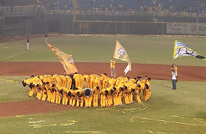 中信金出資4億  買下兄弟象10年冠名權