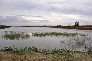 大學圈地運動2--南大七股校區  師生沒人要去