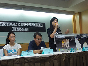 動團：已施打疫苗的流浪狗貓戴項圈、噴漆