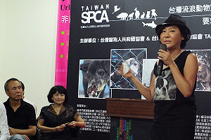 救流浪動物  藍心湄建議領養可節稅