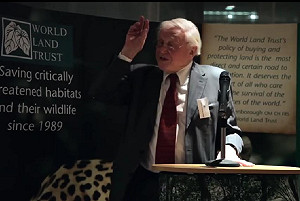 BBC學者搶救非洲象  致信習近平