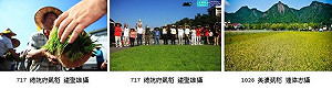 1114美濃收割凱稻   農陣籲政府回應農地政策