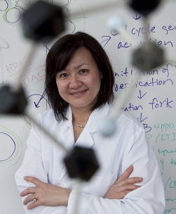 蔡立慧當選美國家醫學院院士