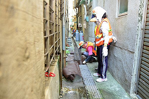 登革熱案例破1萬6 超過去年病例總和