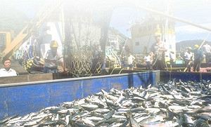 安平漁民節 美食藝文全都包