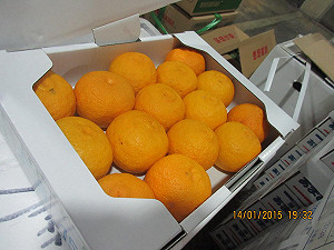 報關抽驗  日本進口蔬果茶類農藥多超標