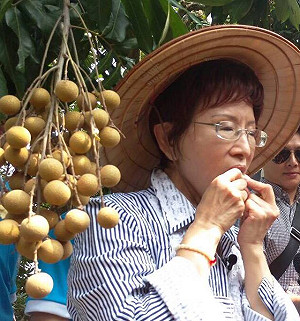 調課綱凝聚藍營？ 柱：操作議題不道德