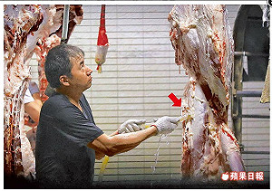 灌水牛流向北部 農委會：抓到就罰