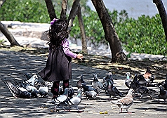 全球首爆H7N9傳人  中國2死台灣警戒