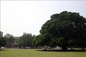 校方提吳京引爭論 「南榕」闖進校務會議