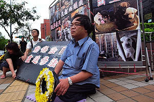 動保人士下跪  籲立院修動保法