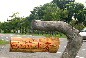 小林村的回家路：永久屋與自主重建之間(系列二)