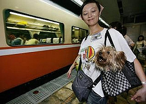 美研究：養寵物可降低心臟病風險