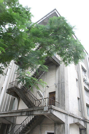 台大生提議設陳文成廣場 校方原則同意