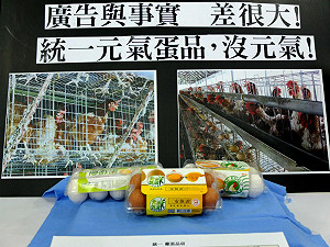 雞蛋自然高品質？  動協批廣告差很大