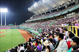 犀牛逢象湧2萬人  創職棒例行賽紀錄