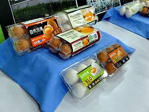 過敏人口多  蛋奶海鮮等成分將強制標示