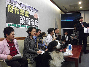 讓寵物用人藥合法  綠委將修《藥事法》