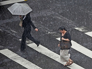 蘇拉來襲  航班公車皆受影響