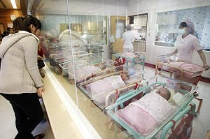 2014愛你一世？  結婚出生登記雙增