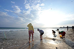 好天氣到年初五  早晚溫差大