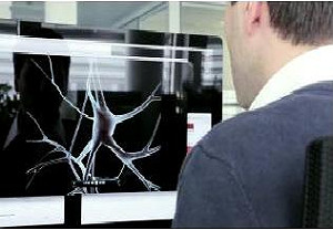 16億美元挹注  瑞士加速大腦模擬計劃