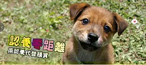 日本嗅癌犬實驗  準確度高達99.7%
